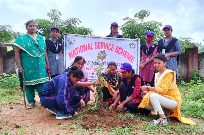 Plantation Programme